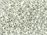 Czech Seed Beads 