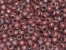 Czech Seed Beads 6/0 - 100 g Packs