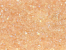 Czech Seed Beads 11/0 - 50 g Packs