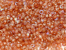 Czech Seed Beads 8/0 - 50 g Packs