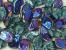 Leaves 9 x 14mm - New Colors