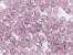 Preciosa MC Round Beads
